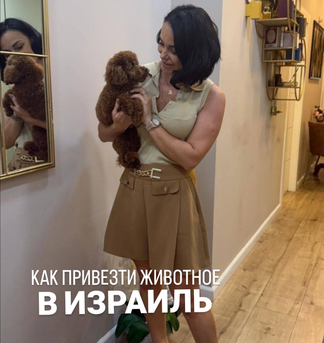 адвокат Олеся Мошкович — Как перевезти домашнее животное из России в Израиль: понятная инструкция