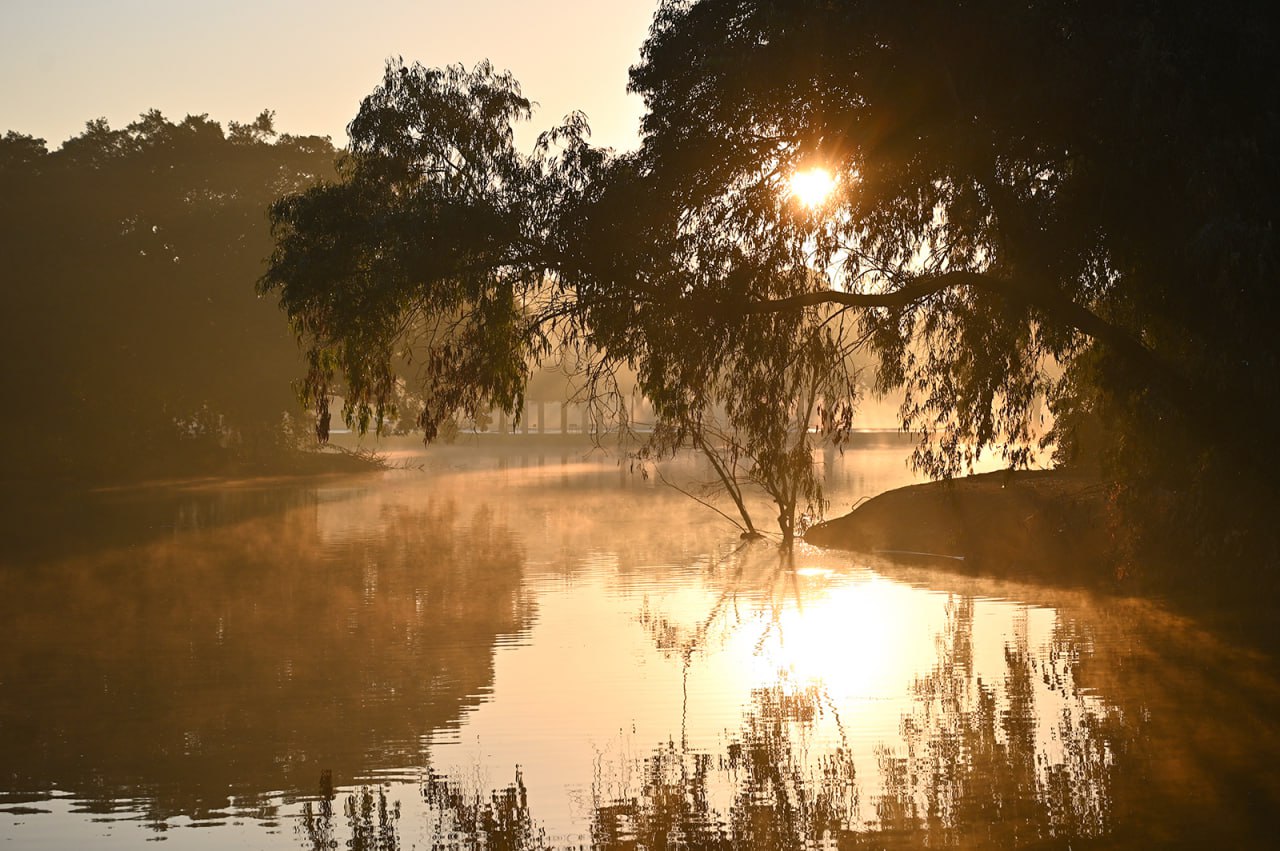 Туманное утро в Рамат-гановском парке «Леуми»