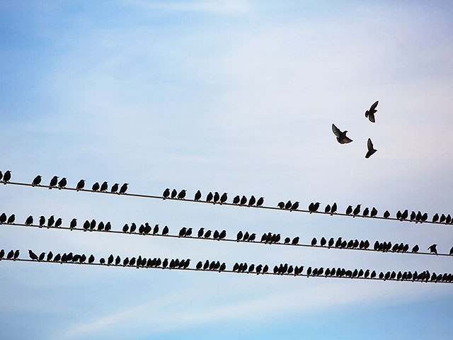 Завершены работы по электрификации железнодорожной ветки Беэр-Шева-Ашкелон