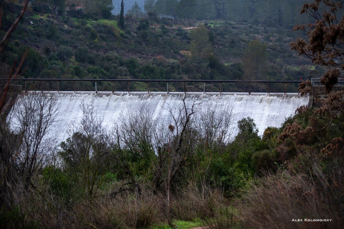 Платина Бейт Зайт  Редкое явление.