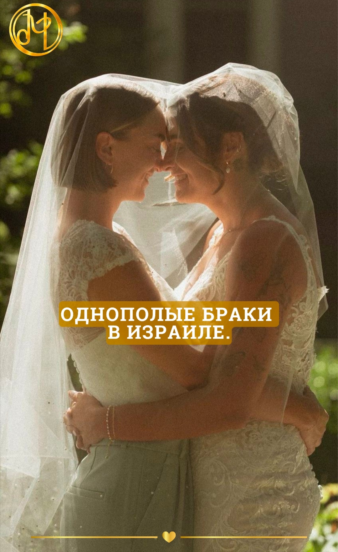 адвокат Олеся Мошкович — Ко мне часто обращаются с вопросом